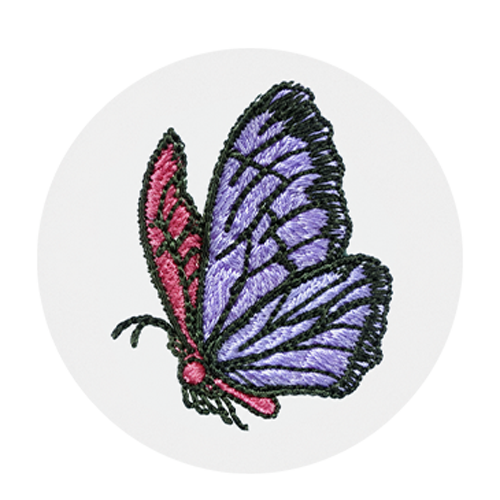 BUTTERFLY
