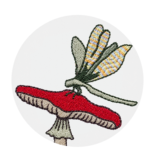 THE DRAGONFLY