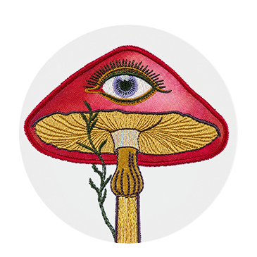 THE EYE