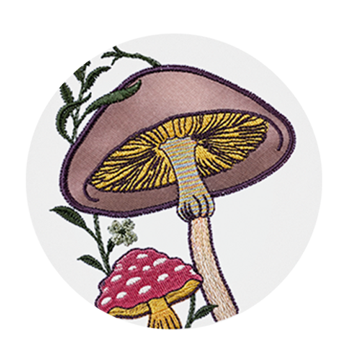 THE MUSHROOM